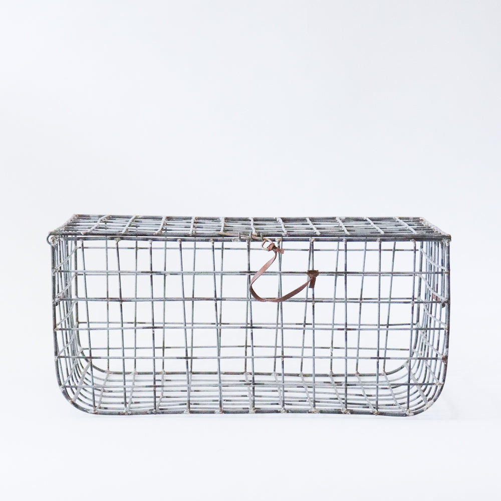 Wire Trunk Basket