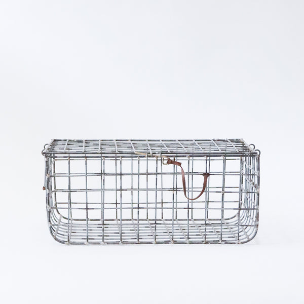 Wire Trunk Basket